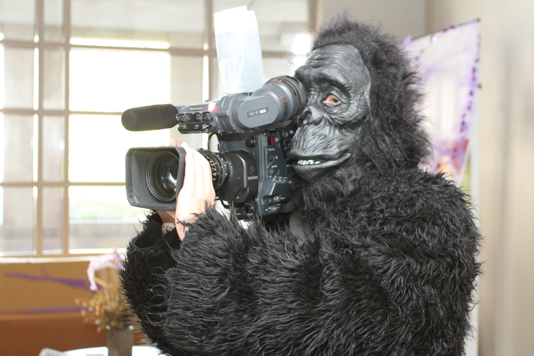 Gorilla Film Making